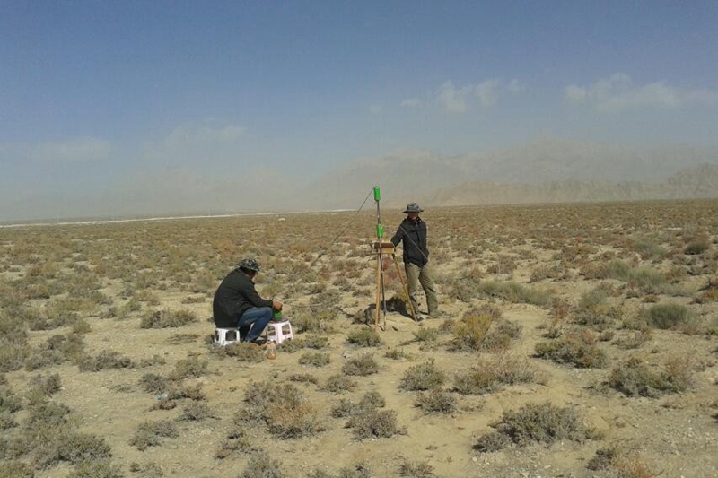 121636687939147033.jpeg 13標本測量.jpg