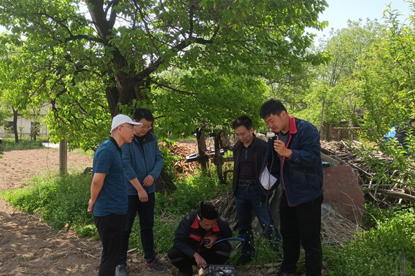 251650846303970909.jpeg 2.jpg